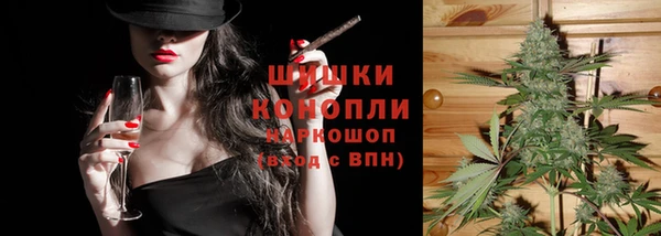 шишки Елизово
