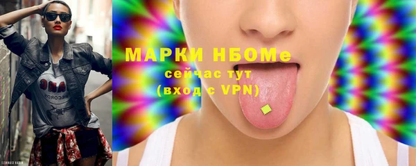 шишки Елизово