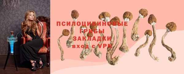 шишки Елизово
