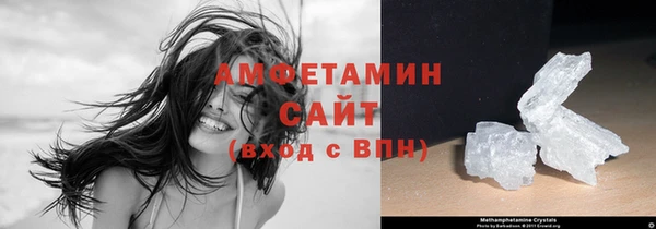 шишки Елизово