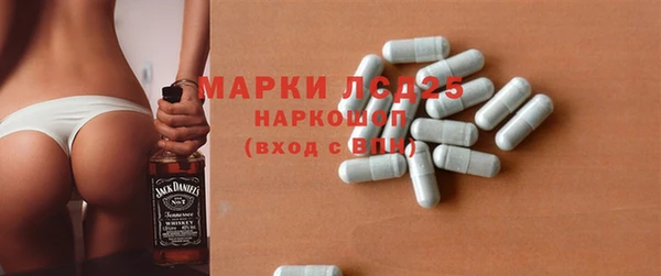 шишки Елизово