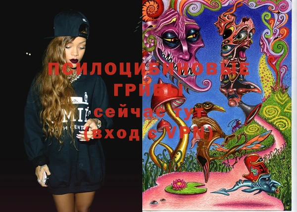 шишки Елизово