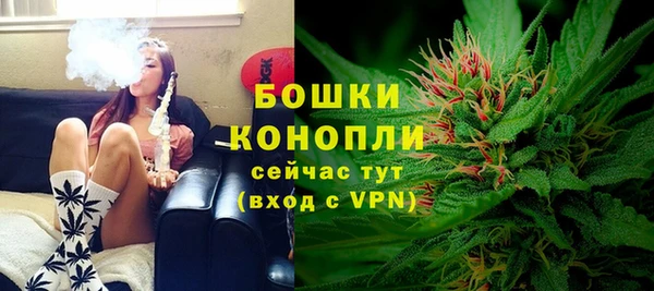 МДМА Ельня