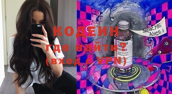 шишки Елизово
